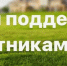 О предоставлении единовременной денежной выплаты взамен земельного участка участникам СВО (копия 4). - Куменский район